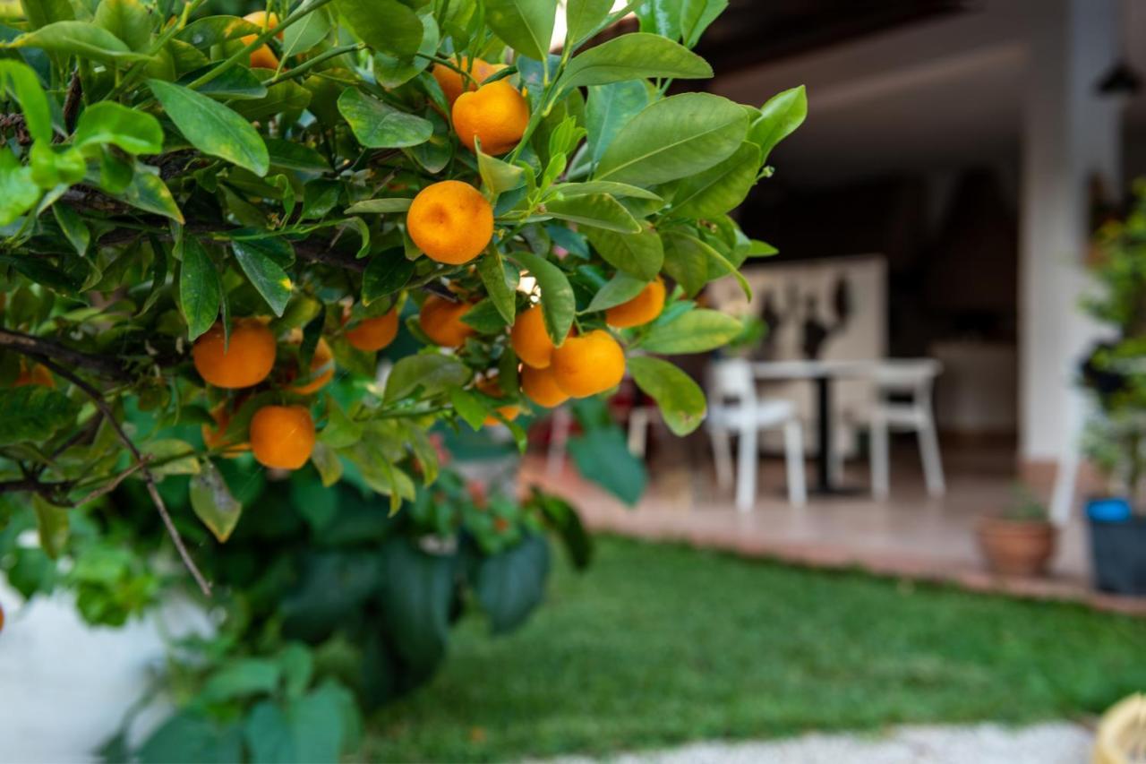 باليرمو Villa Megna - Green Paradise B&B المظهر الخارجي الصورة